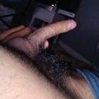 Preview thumbnail for M 29 bi curious