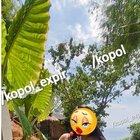 Preview thumbnail for Nature Trip