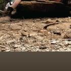Preview thumbnail for Isn’t my wife sexy