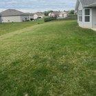 Preview thumbnail for Looking to green up my lawn