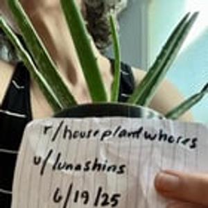 Preview thumbnail for verification post
