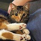 Preview thumbnail for Look at her feetsies