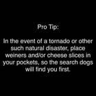 Preview thumbnail for A public service announcement!