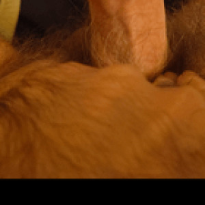 Preview thumbnail for Looking to get smothered and smacked around.