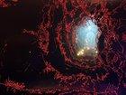 Preview thumbnail for Fix to red outlines in “Total Chaos” - Turn off —-> Anisotropic Filtering (16x)