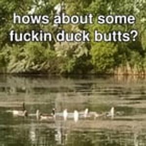 Preview thumbnail for Something from outside for the fucking Fuckos.
