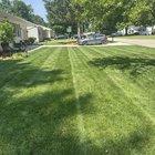 Preview thumbnail for Overseed and level my lawn?