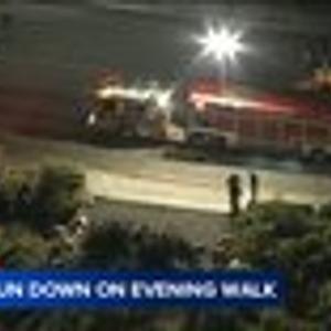 Preview thumbnail for Woman struck and killed in Anaheim after driver veers off road, lands in Santa Ana River