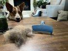 Preview thumbnail for The Furminator
