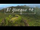 Preview thumbnail for El Yunque