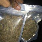 Preview thumbnail for $100 weed haul