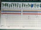 Preview thumbnail for I finally broke 90 after a year of consistently playing!