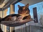 Preview thumbnail for Behold her spotted beans