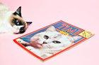 Preview thumbnail for Grumpy Cat Is Not Impressed by TIME’s Photoshoot