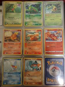 Preview thumbnail for Hoenn Pokedex (incomplete)