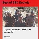 Preview thumbnail for There's a Japanese soldier here still fighting the war!