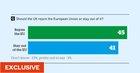 Preview thumbnail for 7% of Remainers saying they would now vote Leave.