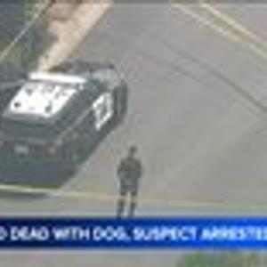 Preview thumbnail for Man decapitated elderly parents, dog at OC home before he was shot by deputies, officials say