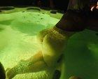 Preview thumbnail for A little hot tub fun in Tampa with the wifey and some friends.