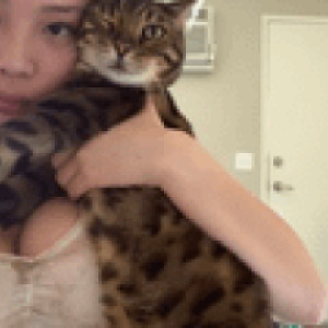 Preview thumbnail for Wanna play with my pussy? Please state which pussy okay?