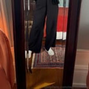 Preview thumbnail for Red Fox takes a mirror selfie