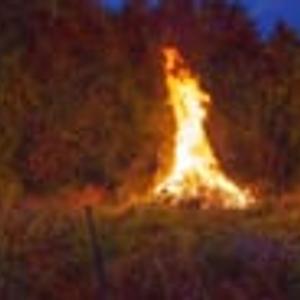 Preview thumbnail for At night of summer solstice may we burn true