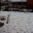 Preview thumbnail for Först idag kommer snön till Teckomatorp