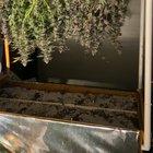 Preview thumbnail for 🪓‘Ed My first grow😁 Turned the grow tent into a drying tent. Intake set on low. Exhaust set enough to creat a vacuum. Oscillating fan pointed towards the bottom. Dehumidifier vented out. Let me know your thoughts!! I’m not sure if I should let the air from the dehumidifier circulate in the tent??
