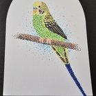 Preview thumbnail for Budgerigar, markers on card, by me