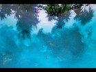 Preview thumbnail for Massage on a beach of Puerto Rico - By Nimhealingtheraphy - 4K
