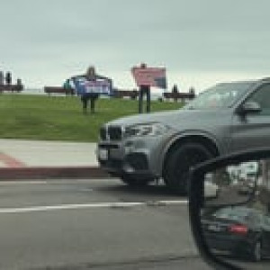 Preview thumbnail for Spotted in Laguna Beach