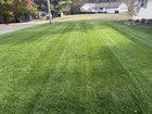 Preview thumbnail for What’s the spring plan? Over-seeded in the fall. Michigan 6A