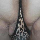 Preview thumbnail for 36M4F/Tf