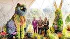 Preview thumbnail for If you haven’t already started watching ‘The Big Flower Fight’ on Netflix, now is the time!