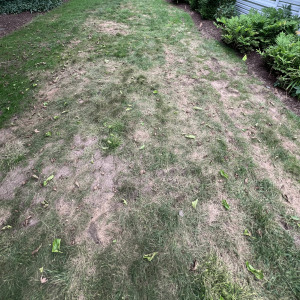 Preview thumbnail for Tenacity concerns after irrigation setup