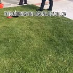 Preview thumbnail for This morning in Laguna Beach