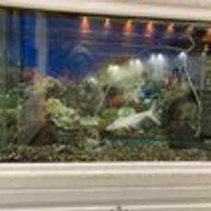 Preview thumbnail for Spotted this at a hospital. Zero enrichment and little space for the lonely little guy.