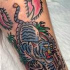 Preview thumbnail for Tiger for a scar cover